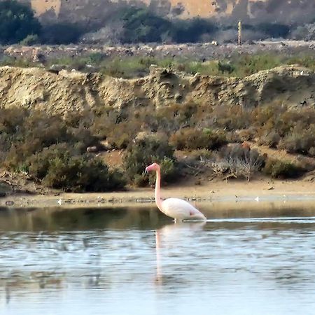 Flamingos View Apartment In Cabo De Gata El Pozo del Cabo Eksteriør billede